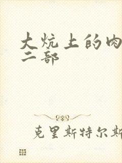 大炕上的肉伦第二部封面