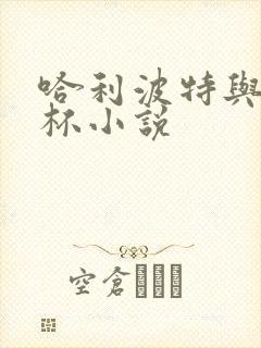 哈利波特与火焰杯小说