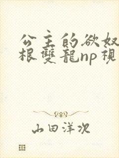 公主的欲奴h四根双龙np视频