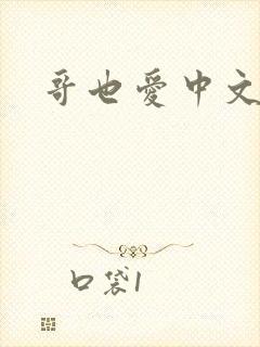 哥也爱中文