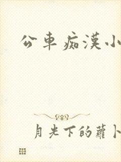 公车痴汉小说