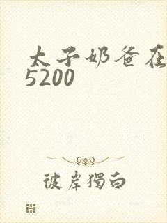 太子奶爸在花都5200