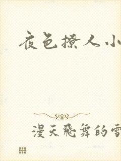 夜色撩人小说