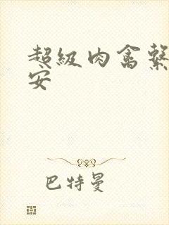 超级肉禽系统保安