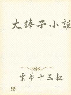 大棒子小说