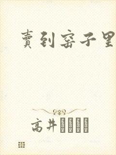 卖到窑子里np封面