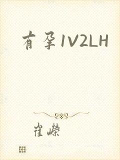 有孕1V2LH