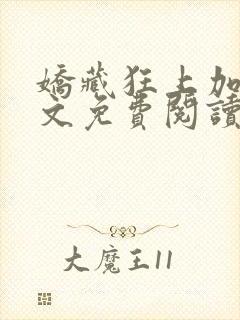 娇藏狂上加狂全文免费阅读笔趣阁