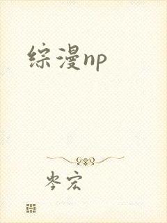 综漫np