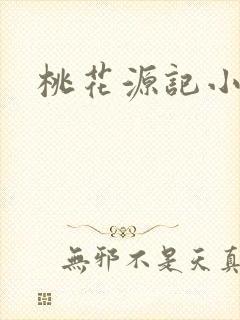 桃花源记小说封面