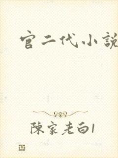 官二代小说封面