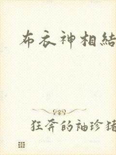 布衣神相结局封面