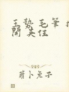 玉势 毛笔 撑开 夹住