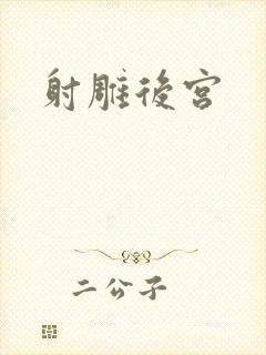 射雕后宫封面