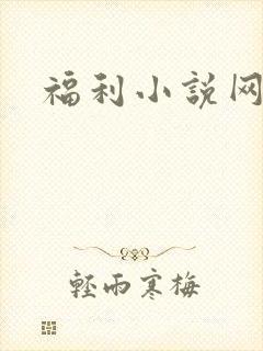 福利小说网