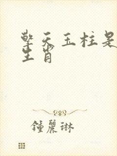 擎天玉柱是什么生肖封面