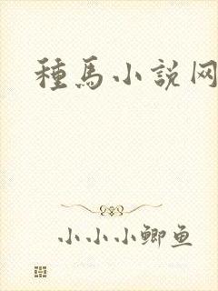 种马小说网封面