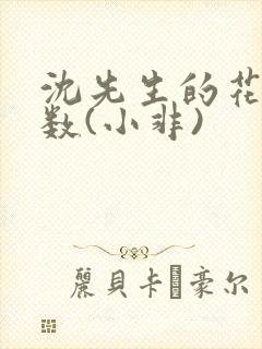 沈先生的花式调数(小非)