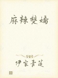 麻辣双娇封面