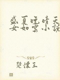 盛夏晚晴天之美女如云小说封面