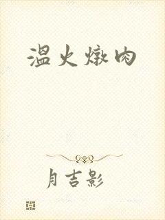 温火炖肉