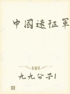中国远征军小说