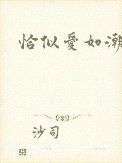 恰似爱如潮封面