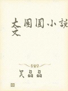 大团圆小说集全文