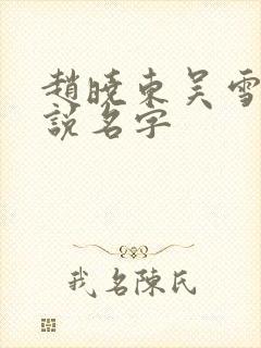 赵晓东吴雪晴小说名字