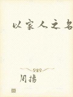 以家人之名小说