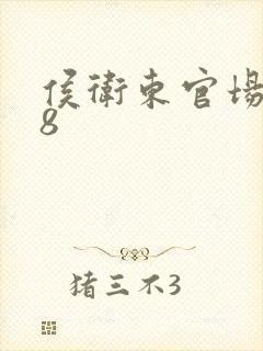 侯卫东官场笔记8封面