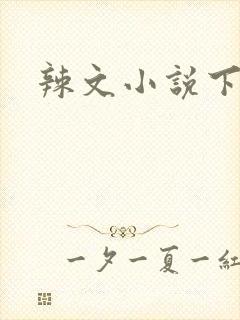 辣文小说下载