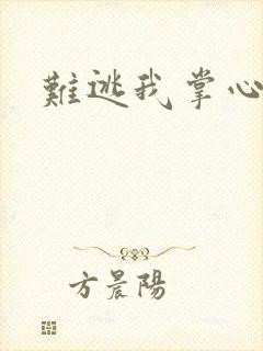 难逃我掌心封面