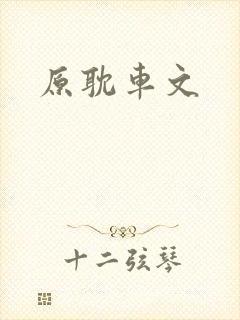 原耽车文