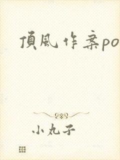 顶风作案po封面