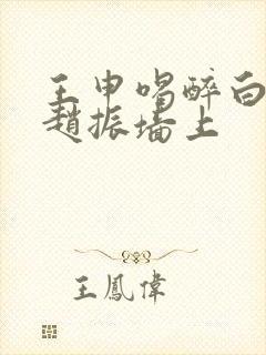 王申喝醉白洁被赵振墙上