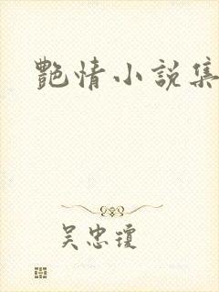 艳情小说集封面