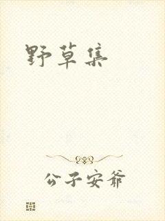 野草集封面
