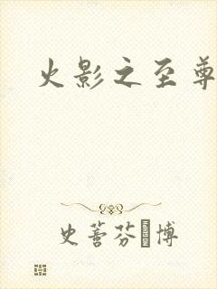 火影之至尊邪帝