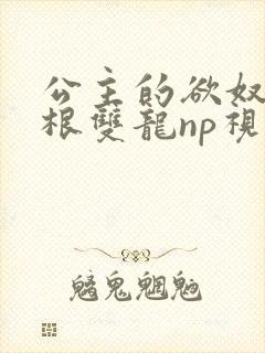 公主的欲奴h四根双龙np视频