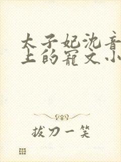 太子妃沈音和皇上的宠文小说封面