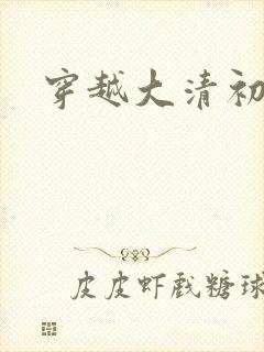 穿越大清初年封面