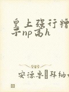 皇上强行糟蹋太子np高h