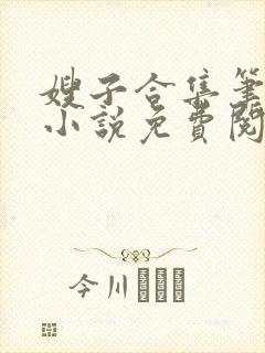 嫂子合集笔趣阁小说免费阅读