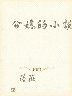 公媳的小说
