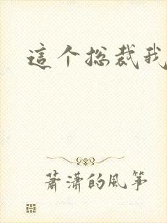 这个总裁我要了