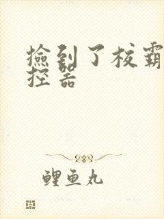 捡到了校霸的遥控器封面