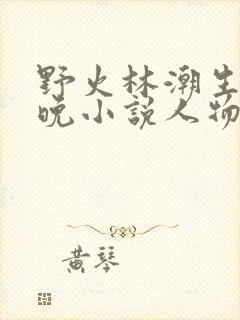 野火林潮生林晚晚小说人物野火