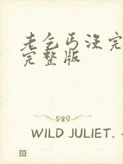 老乞丐没完没了完整版