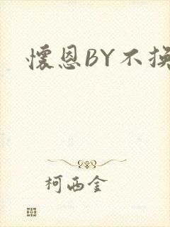 怀恩BY不换